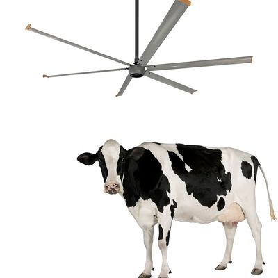 Lavori di costruzione essenziale ventilatore HVLS a soffitto industriale invertibile da 7,3 m/24 piedi