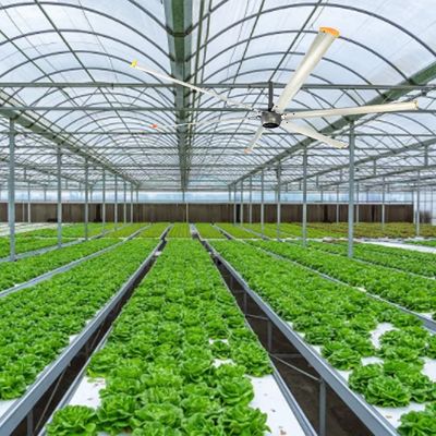 1500W 220v ventilatore HVLS per soffitti industriali per grandi spazi 6,1 m 7,3 m 12 piedi 10 piedi di diametro