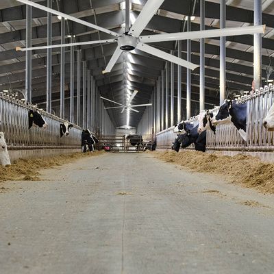 Silenzioso ventilatore di soffitto elettrico industriale ad alta velocità HVLS da 1,5 kW a 24 piedi con motore PMSM