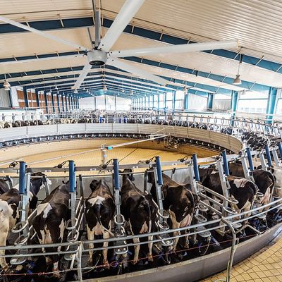 Silenzioso ventilatore di soffitto elettrico industriale ad alta velocità HVLS da 1,5 kW a 24 piedi con motore PMSM