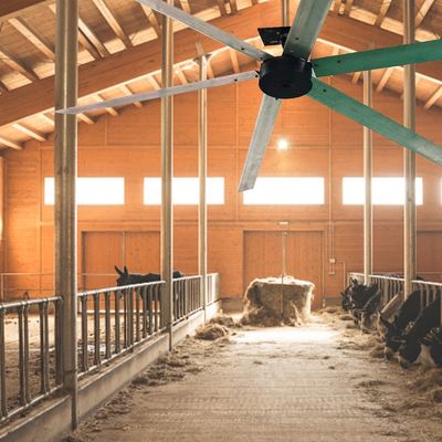 Silenzioso e potente 24ft 1500W BLDC Motore di ventilatore di raffreddamento per ventilatore di soffitto HVLS industriale
