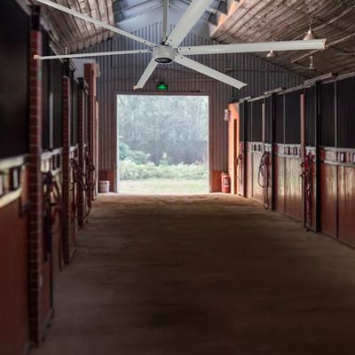 Lamina di alluminio 12ft 10ft 5.5m AMCLING Tetti industriali a risparmio energetico ventilatori di soffitto HVLS
